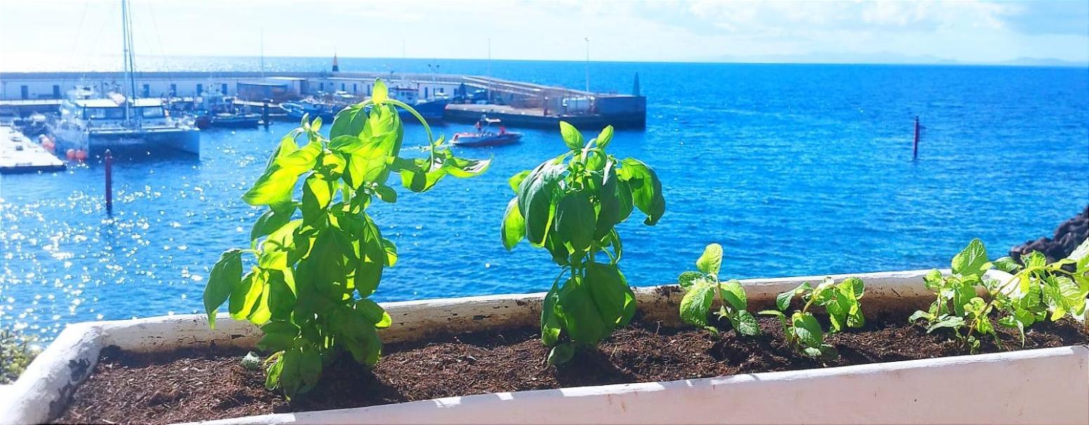 Buena Pesca 7 Apartment Puerto del Carmen  Luaran gambar